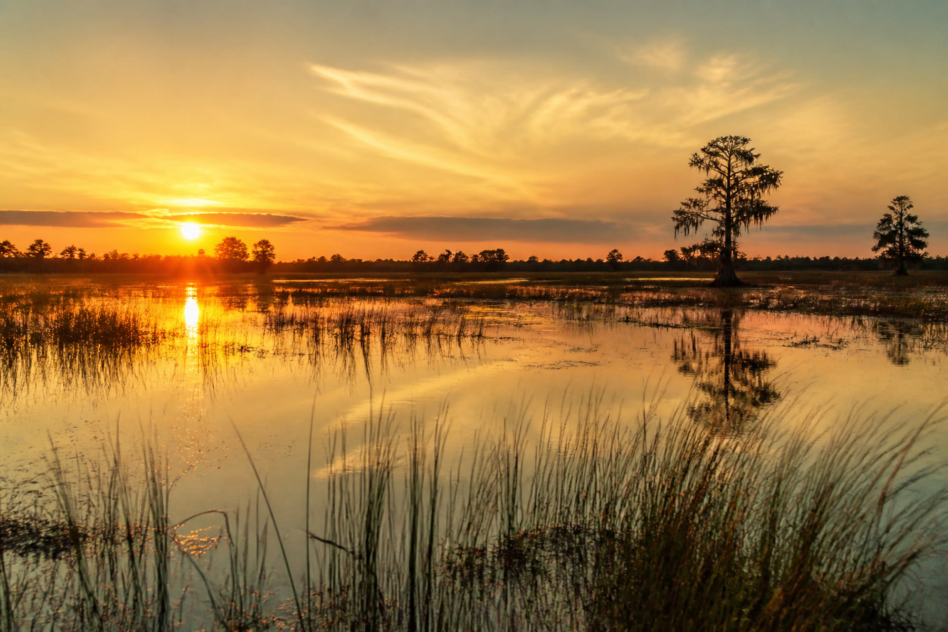Wetlands at dusk, still water reflecting a warm sky